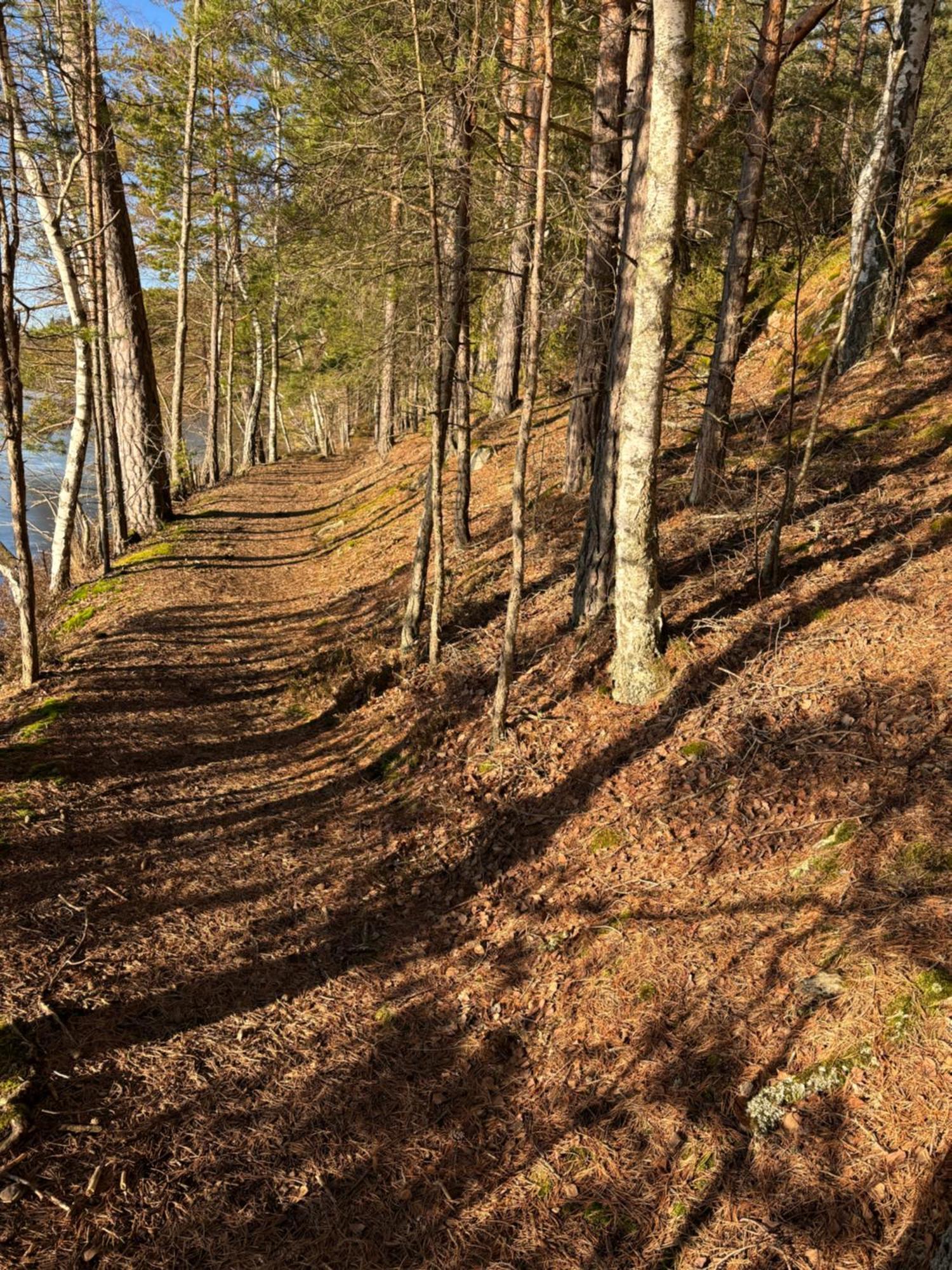 Sjoestugan Söderköping Esterno foto